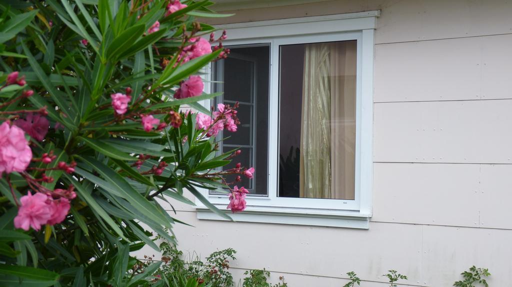 Azores Garden House - Private & - Automatic Self Check-in Ponta Delgada (Sao Miguel)