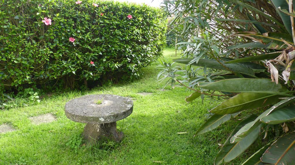 Apartment Azores Garden House - Private & - Automatic Self Check-in